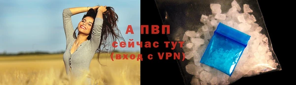 гашик Белоозёрский
