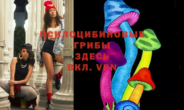 mdma Бородино